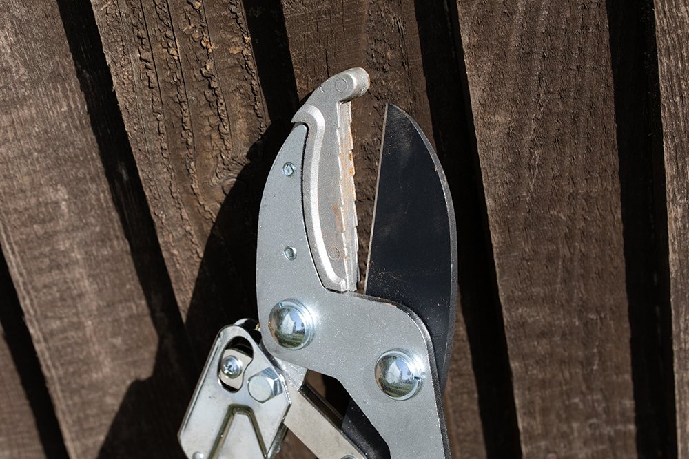 Gardening secateurs are protected by our guarantee